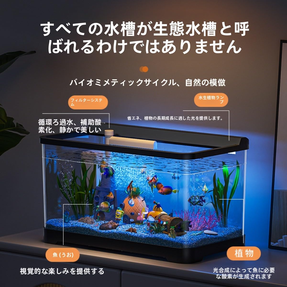 Amazon | Traxomi 水槽アクアリウム 中小型エコ水槽 4K 超白高透 自